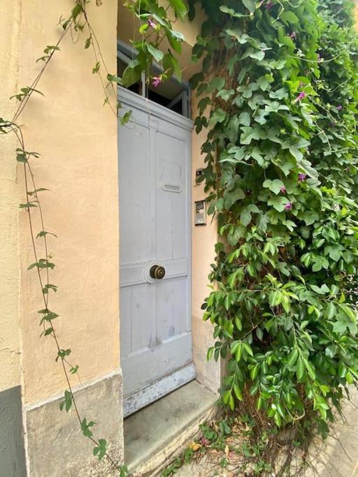 Click! Casa Lamartine Fabulous Ideal Location Walk To All!!! กาซีส์ ภายนอก รูปภาพ